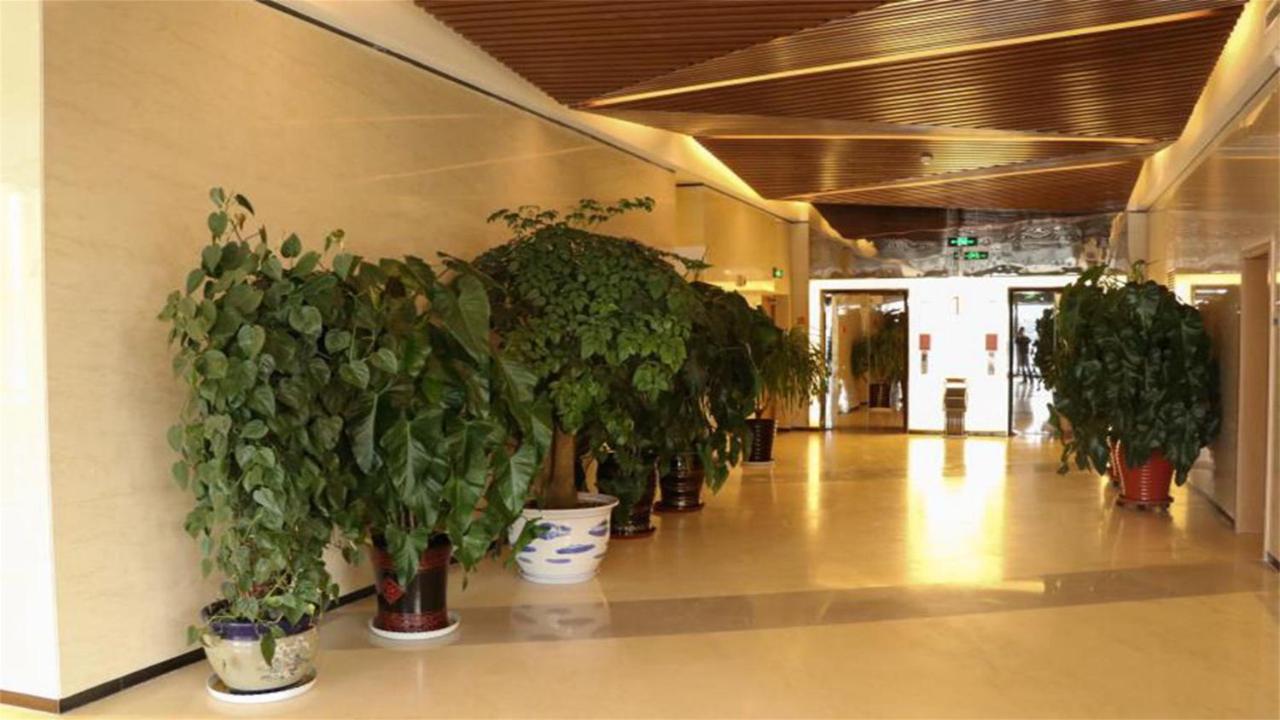 Holiday Inn Express Zhangjiakou Park View Bagian luar foto